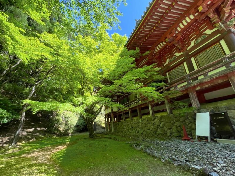 京都の歩き方〜新緑の神護寺〜